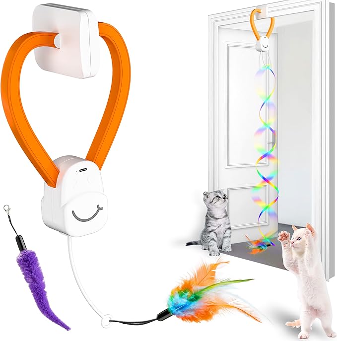 Electric Cat Teaser with Remote & Interactive Pet Toy