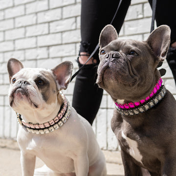 Pet Dog Luxury Rhinestone Collar