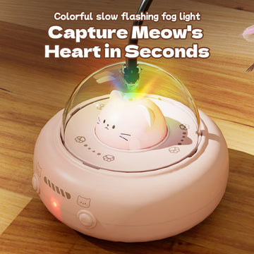 Automatic Cat Toy with Laser