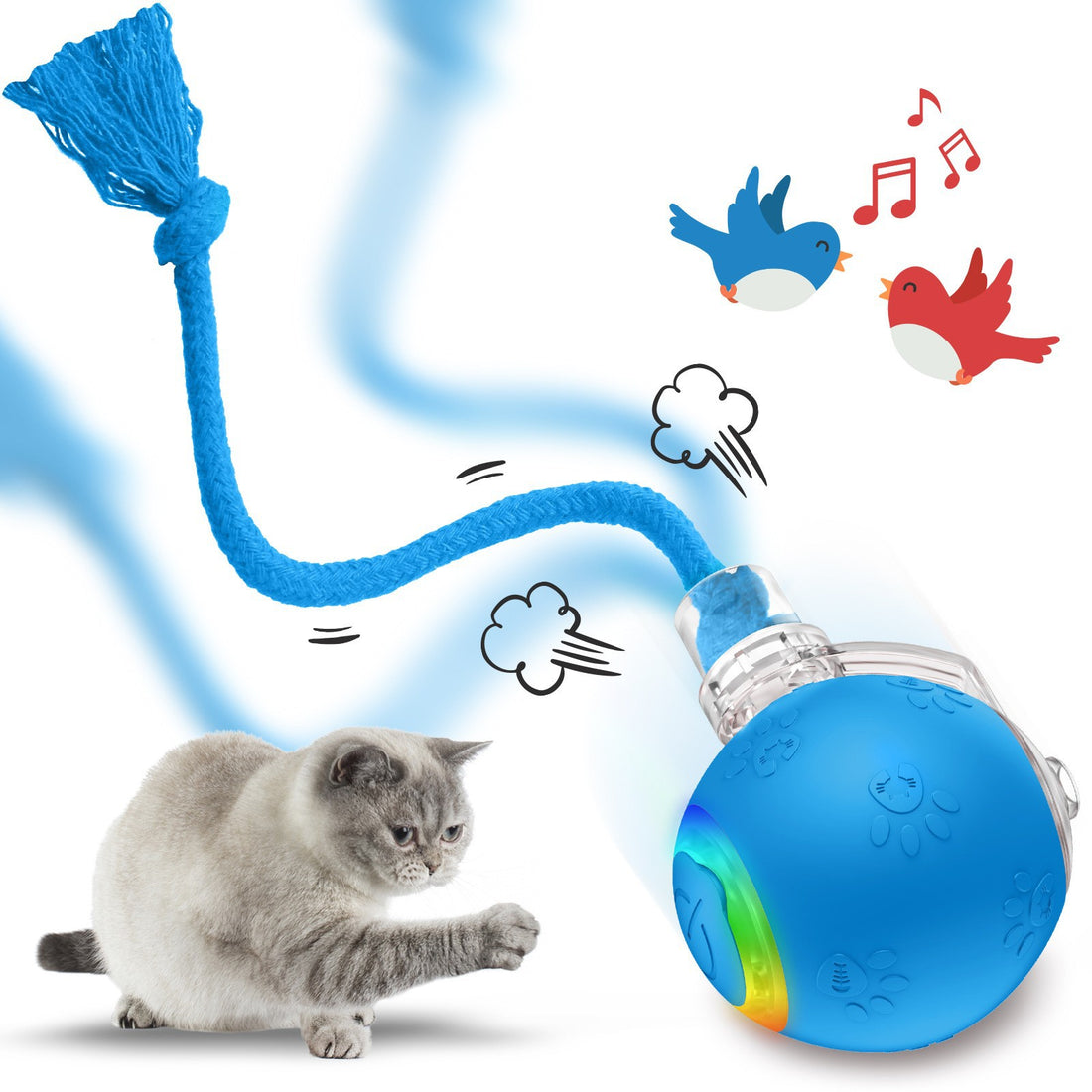 Interactive Cat Toys & USB Rechargeable
