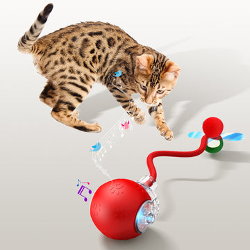 Interactive Cat Toys & USB Rechargeable