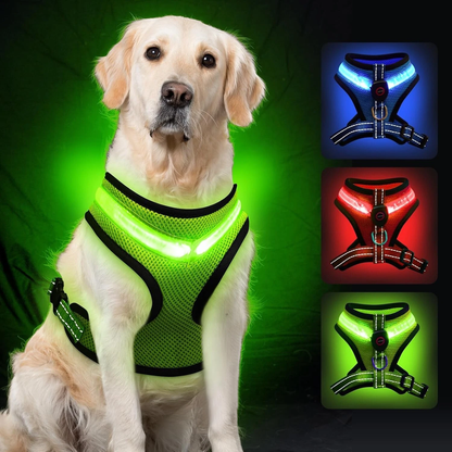 USB Rechargeable LED Dog Harness - Light Up Safety Vest for Night Walking, Adjustable Reflective Strap