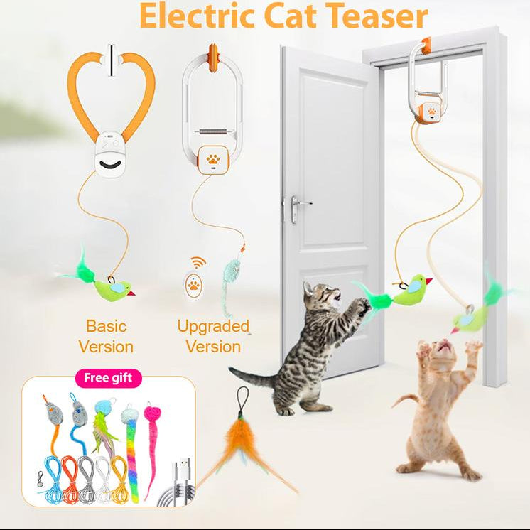 Electric Cat Teaser with Remote & Interactive Pet Toy