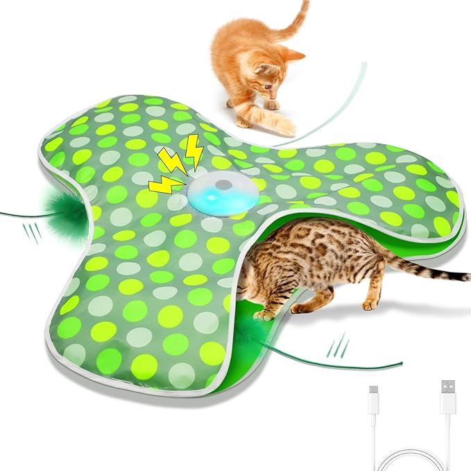 Smart Cat Toys: Interactive Hide & Seek Puzzle for Cats