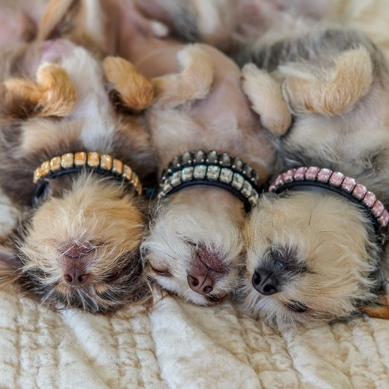 Pet Dog Luxury Rhinestone Collar