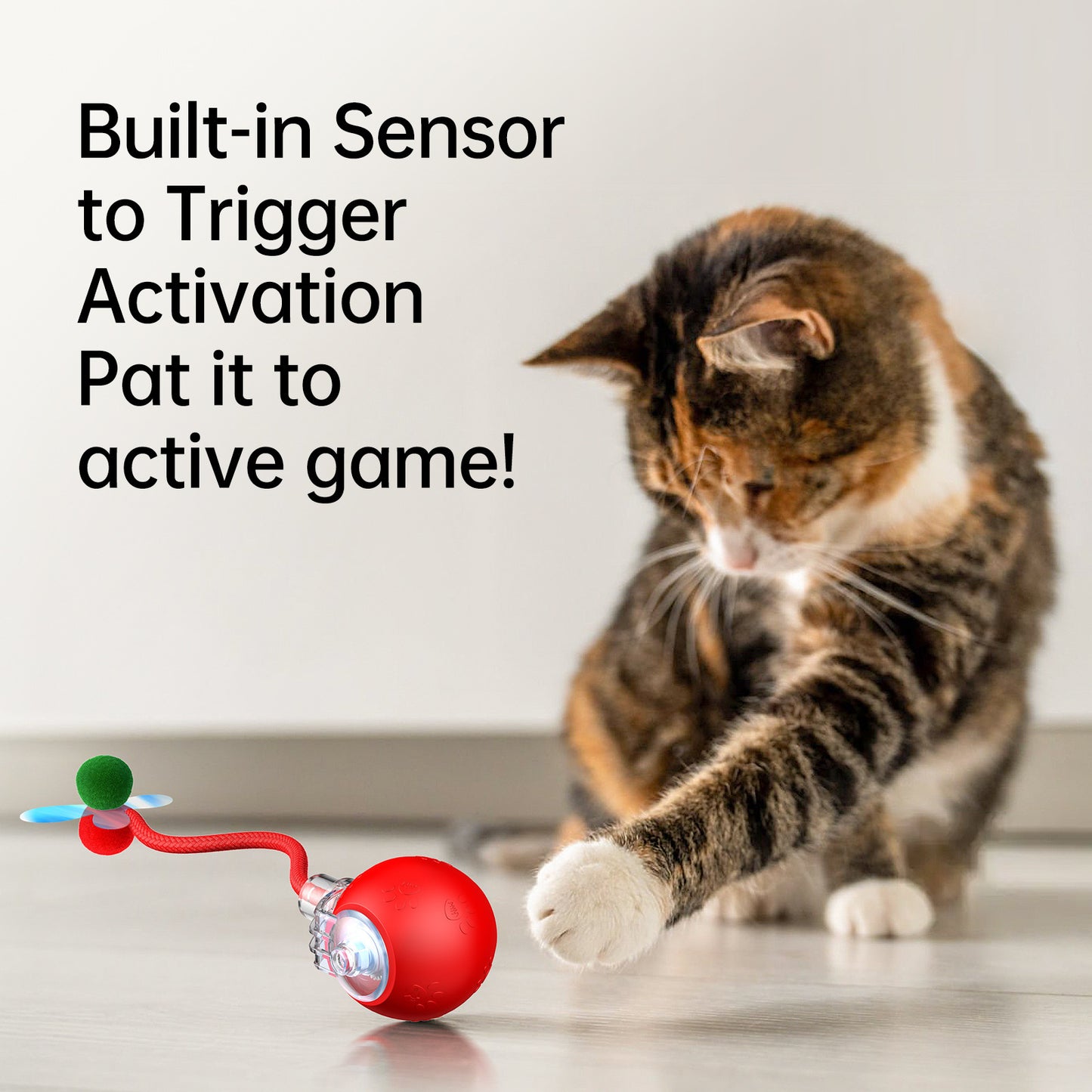 Interactive Cat Toys & USB Rechargeable