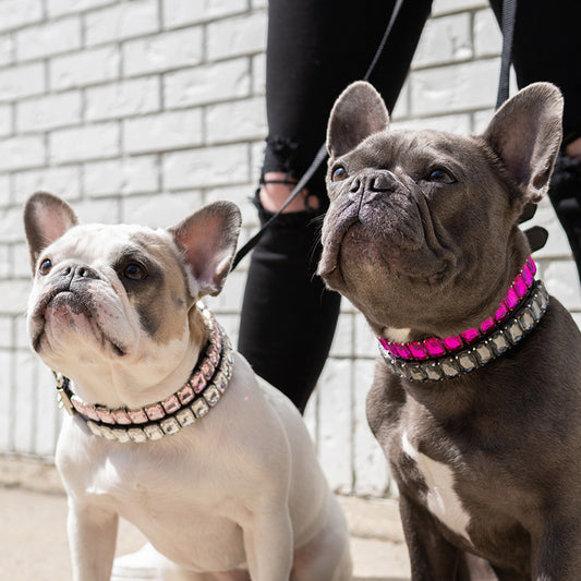 Pet Dog Luxury Rhinestone Collar