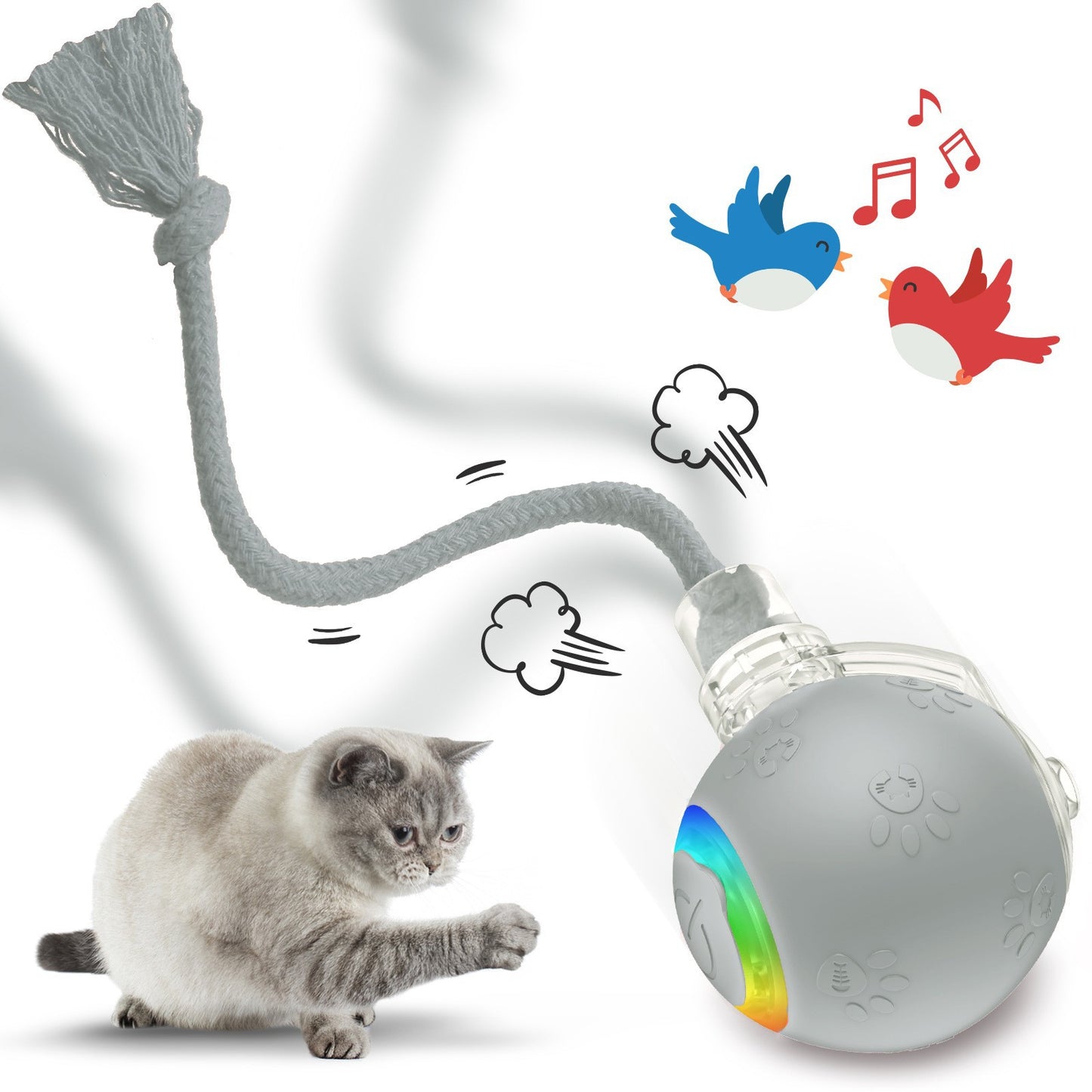 Interactive Cat Toys & USB Rechargeable
