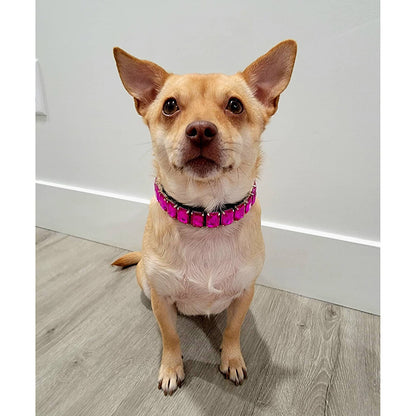 Pet Dog Luxury Rhinestone Collar