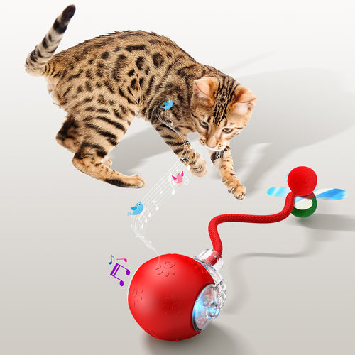 Interactive Cat Toys & USB Rechargeable