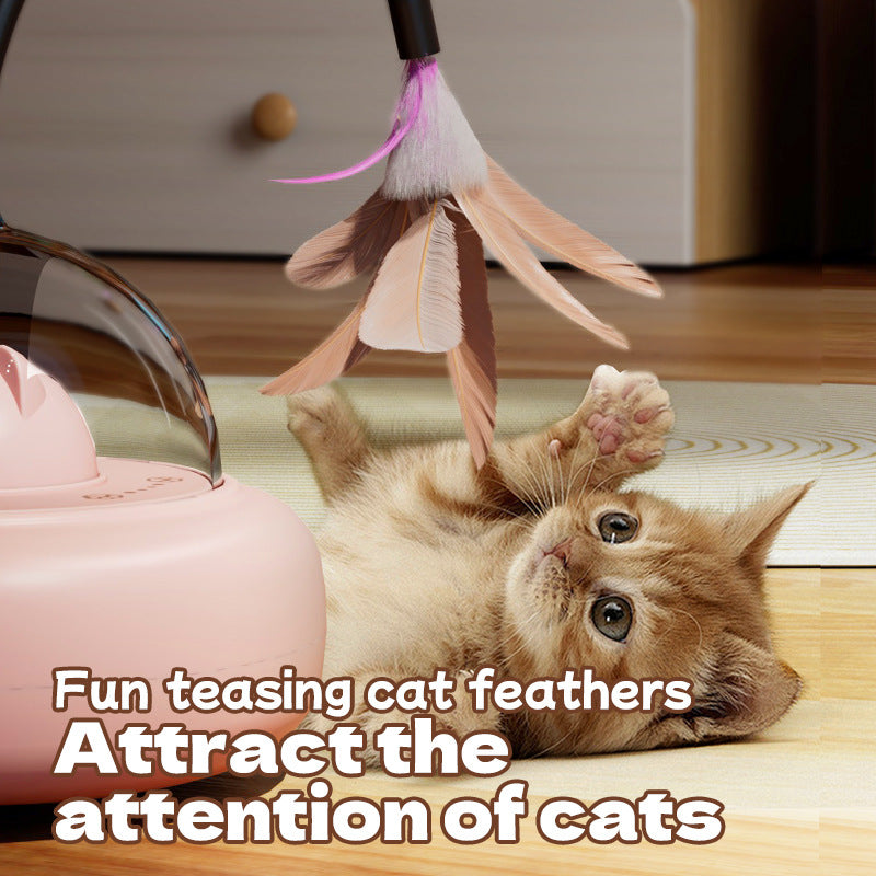 Automatic Cat Toy with Laser