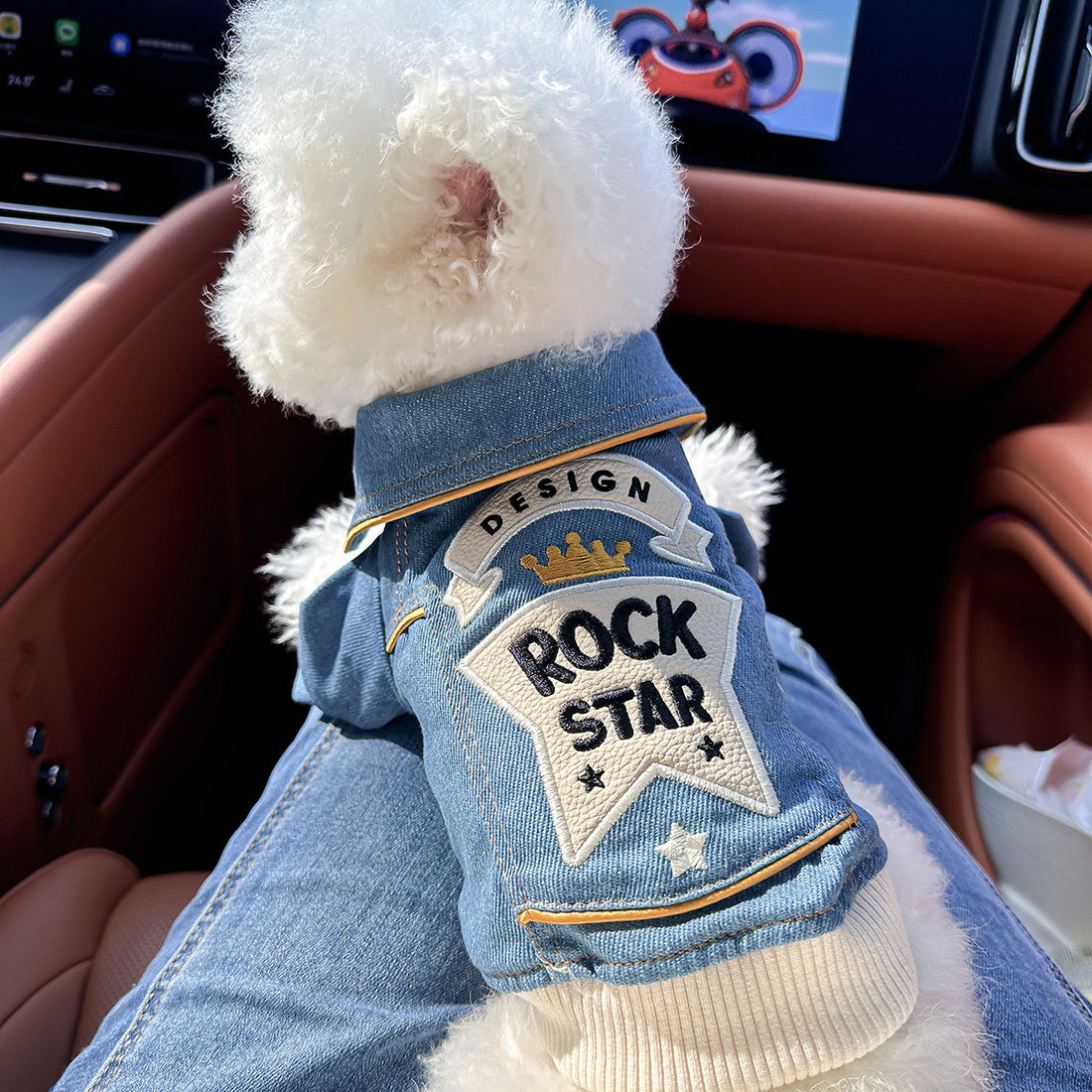 Pet Denim Jacket | Dog & Cat Embroidered Jacket