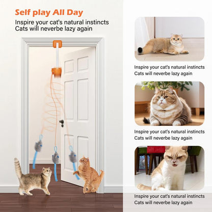 Electric Cat Teaser with Remote & Interactive Pet Toy
