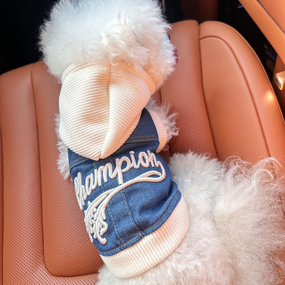 Embroidered Pet Denim Jacket