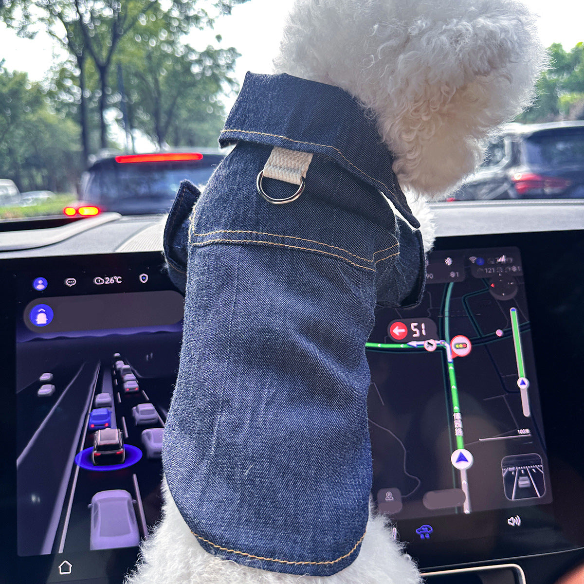 Embroidered Pet Denim Jacket