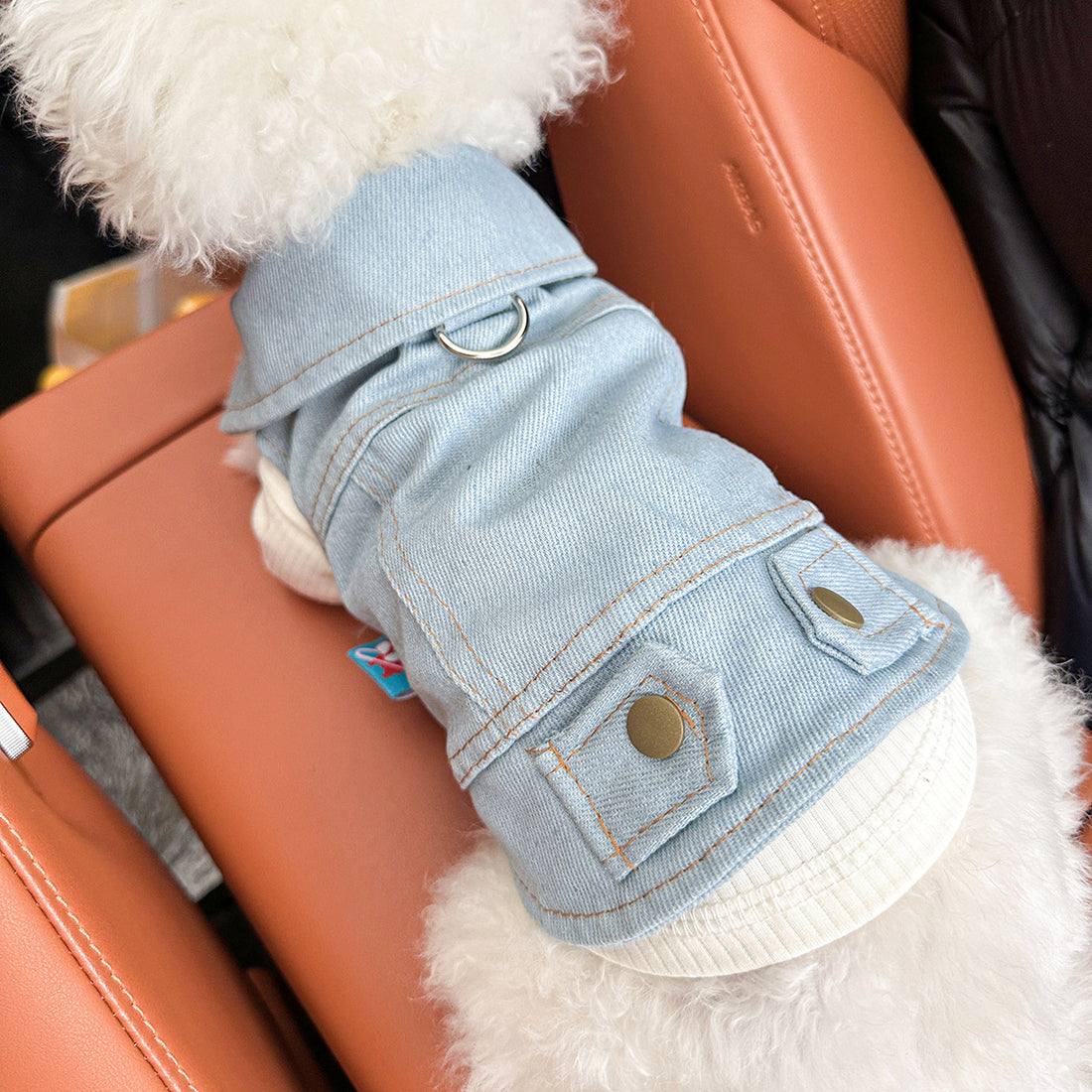 Embroidered Pet Denim Jacket