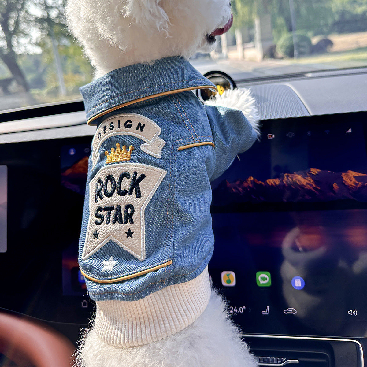 Pet Denim Jacket | Dog & Cat Embroidered Jacket