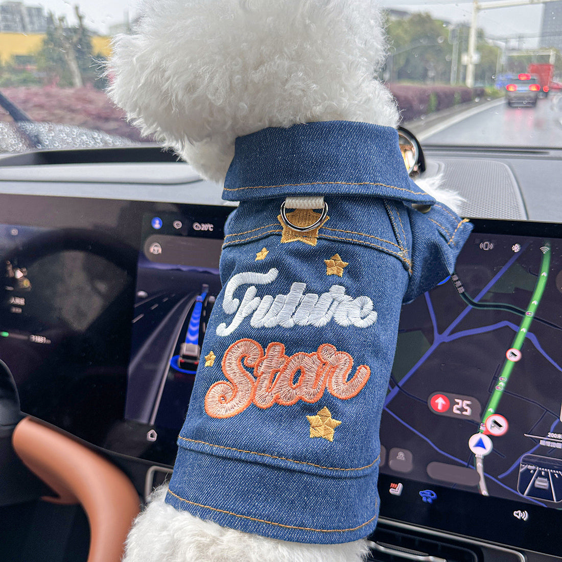Denim Dog Hoodie | Puppy Hooded Coat Jacket with Pocket