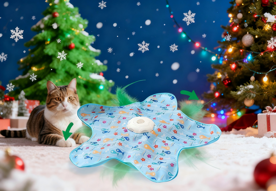 slider image slider_item_LALaCM