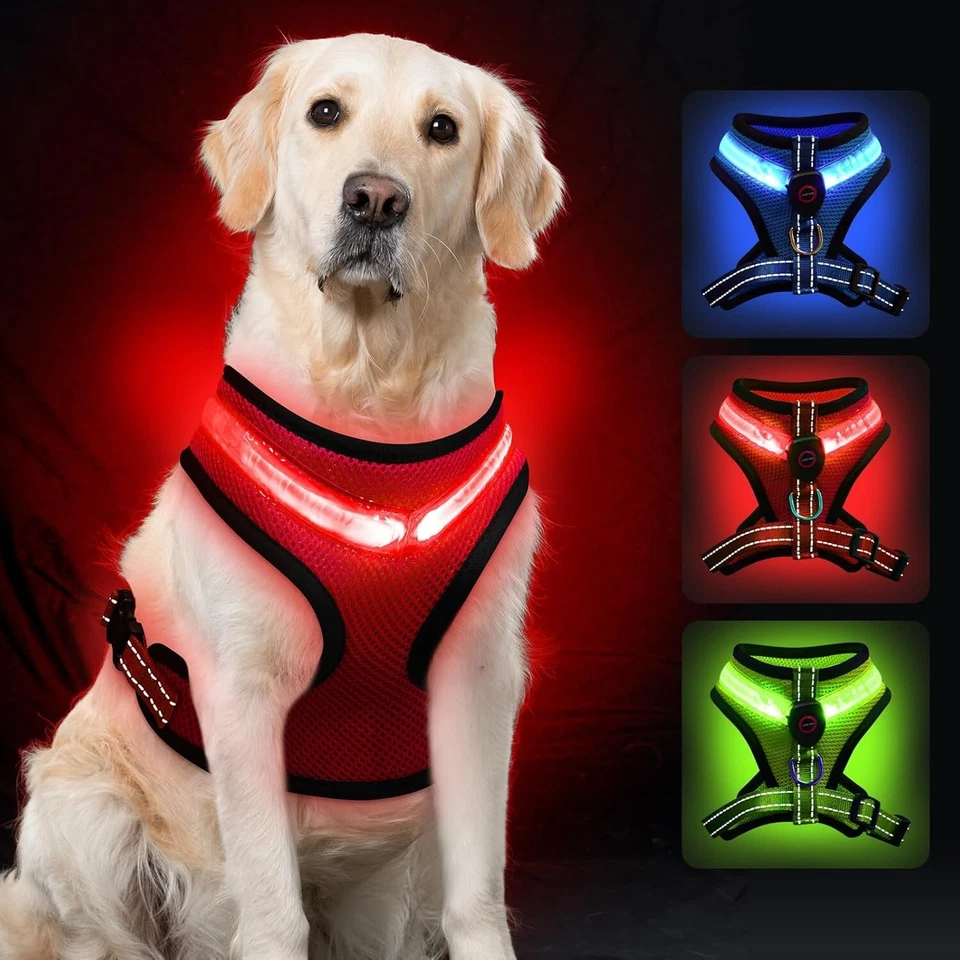 USB Rechargeable LED Dog Harness - Light Up Safety Vest for Night Walking, Adjustable Reflective Strap