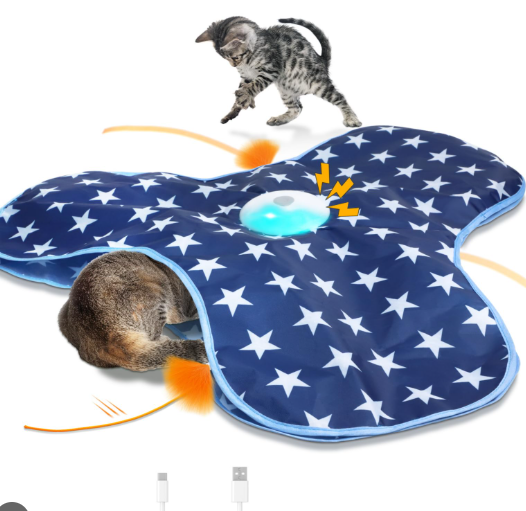 Interactive Cat Toy Rechargeable